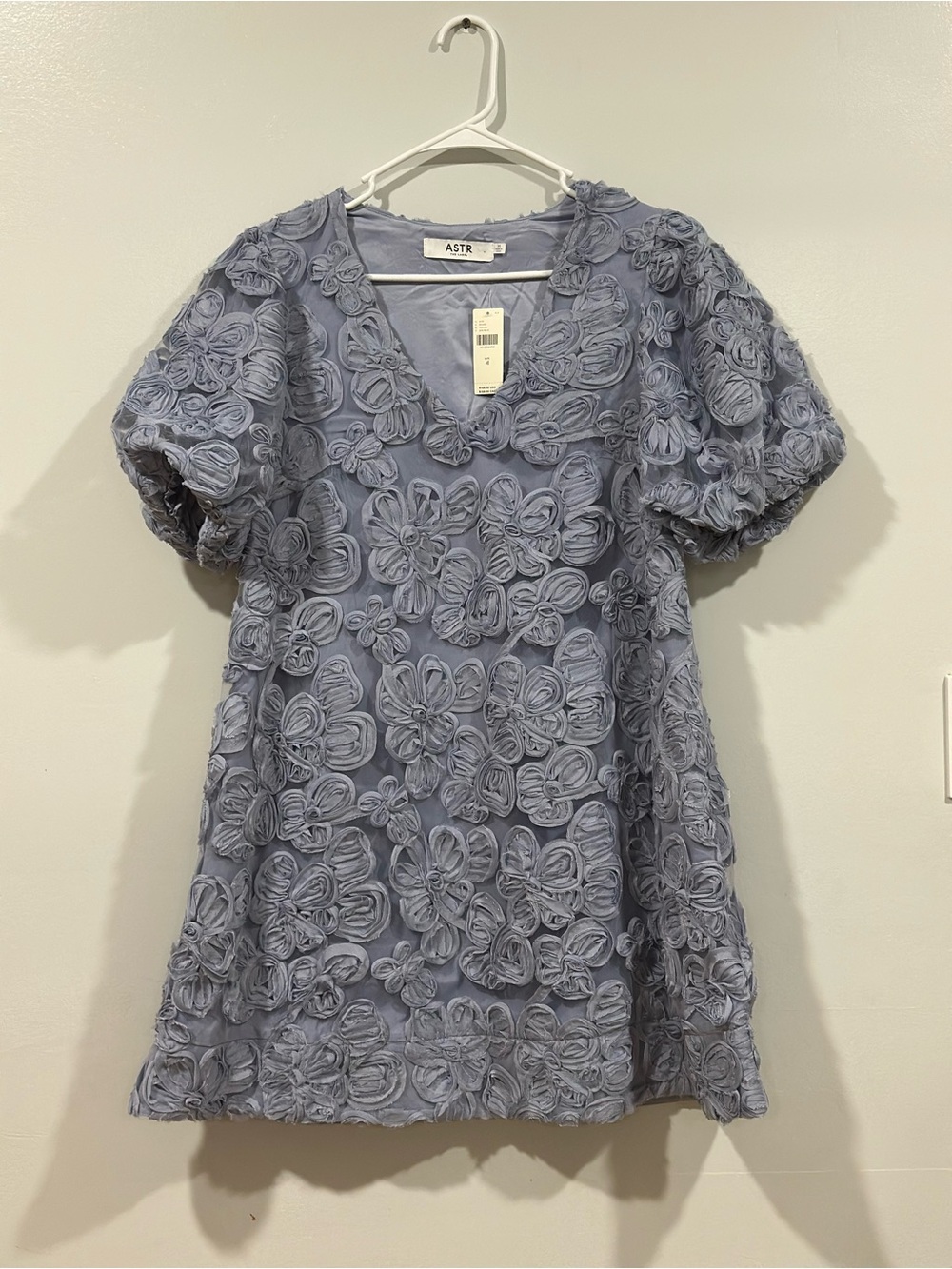 ASTR Lakelyn Floral Embroidered Mini Dress